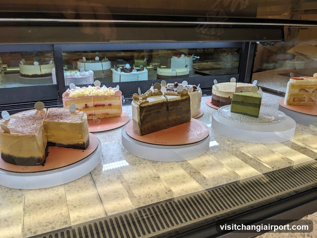 Cake Display Case