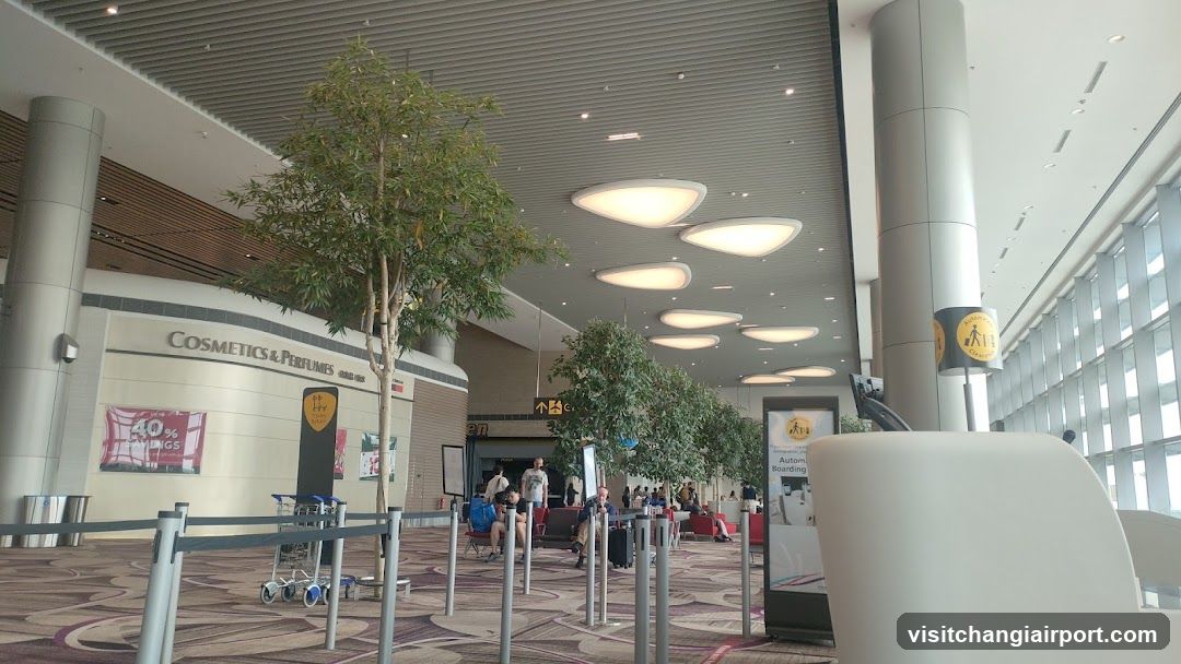 Airport Terminal Interior with Cosmetics Store