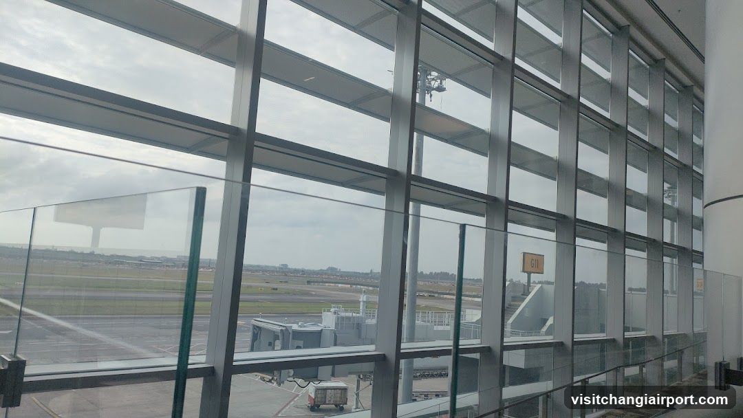 Airport Terminal View