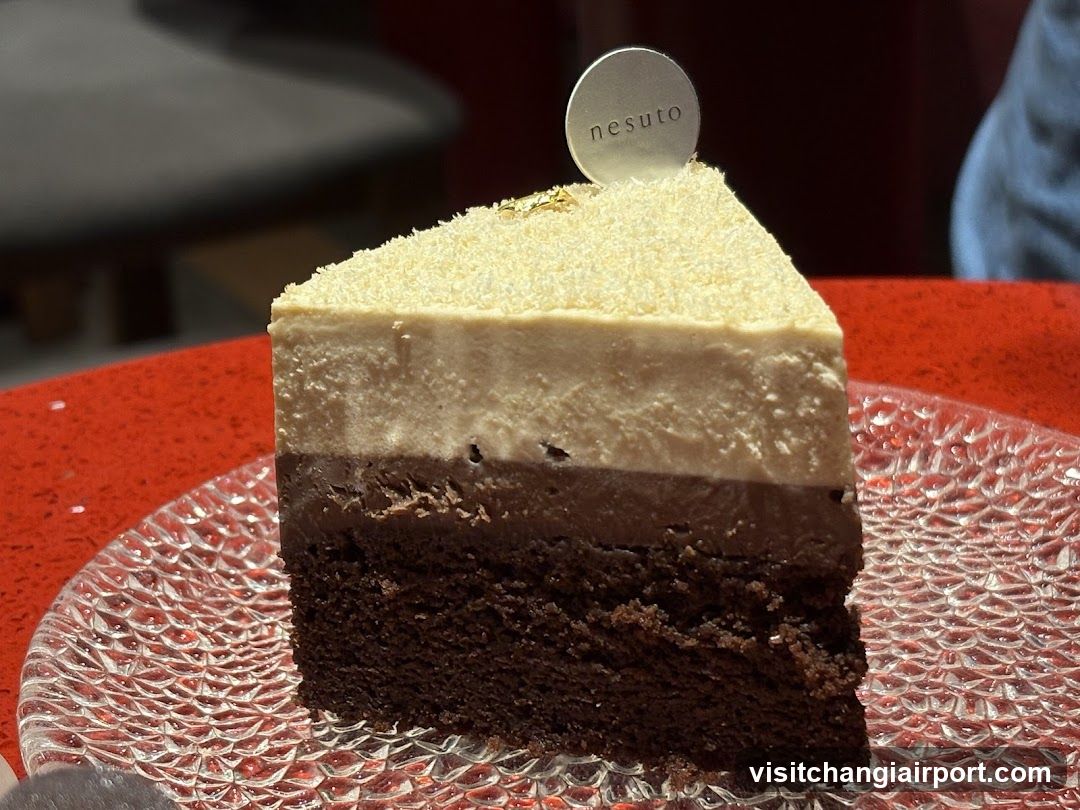 Layered Chocolate Cake Slice