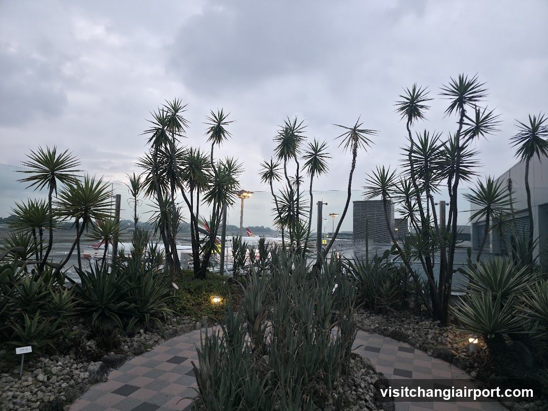 Airport Garden View