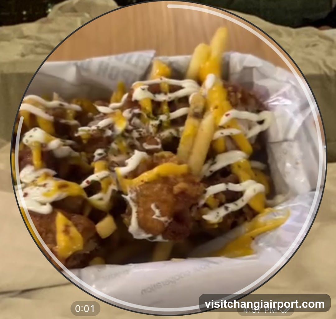 Fries with Sauce Drizzle