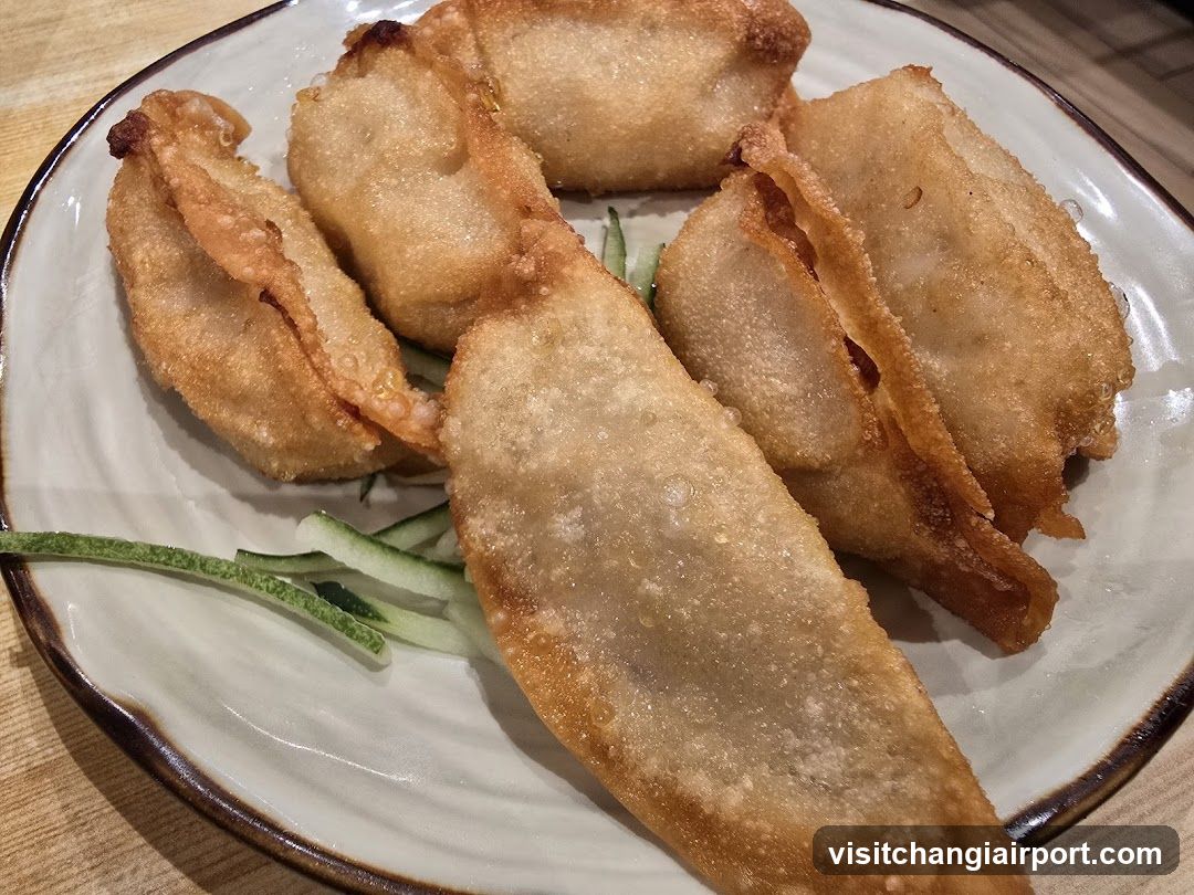 Fried Dumplings on a Plate