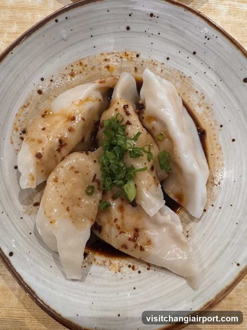 Dumplings with Sauce and Scallions
