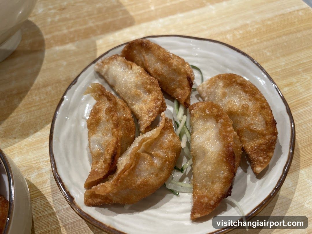 Gyoza Plate