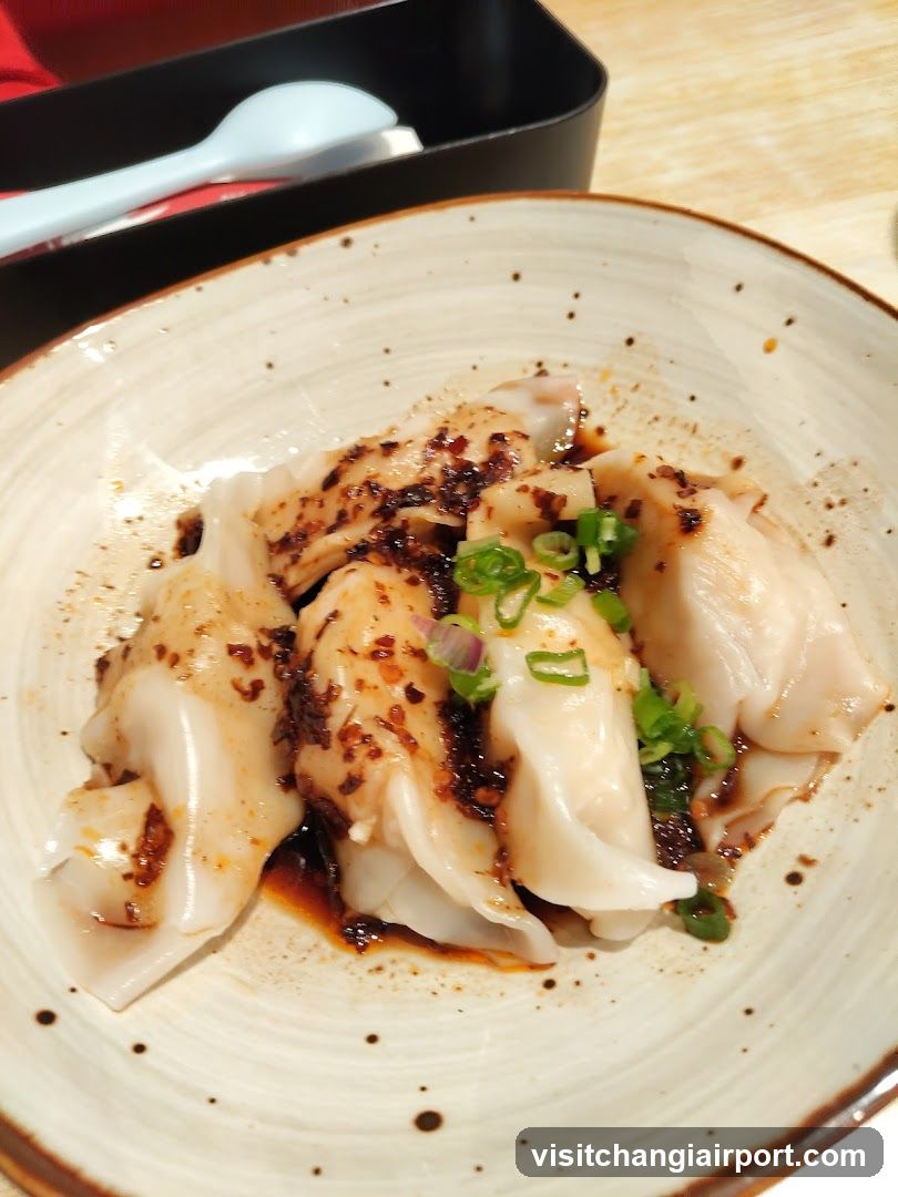 Dumplings with Sauce and Scallions