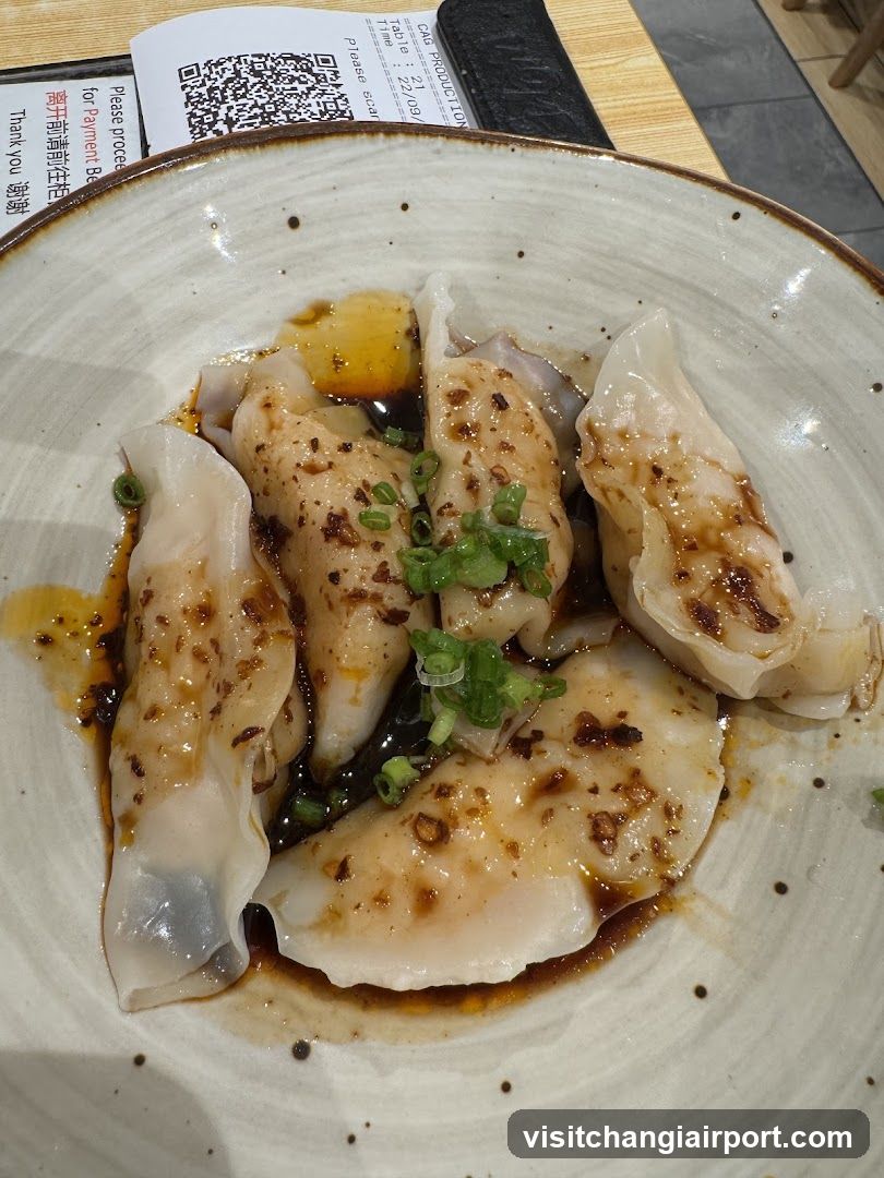 Dumplings with Sauce and Green Onions
