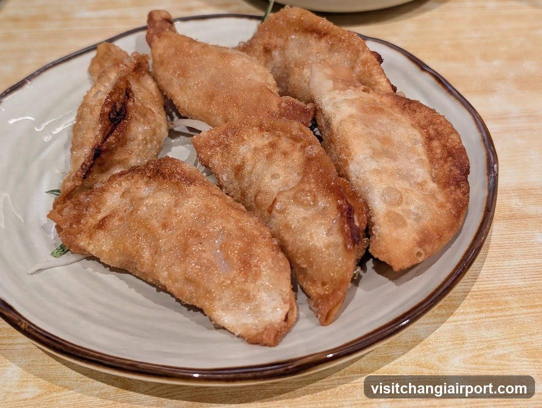 Fried Dumplings on a Plate
