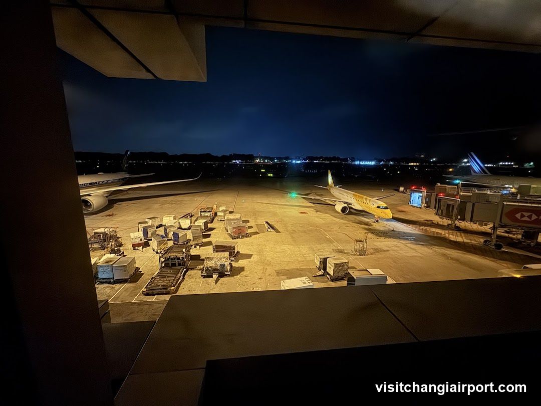 Airport Terminal View at Night