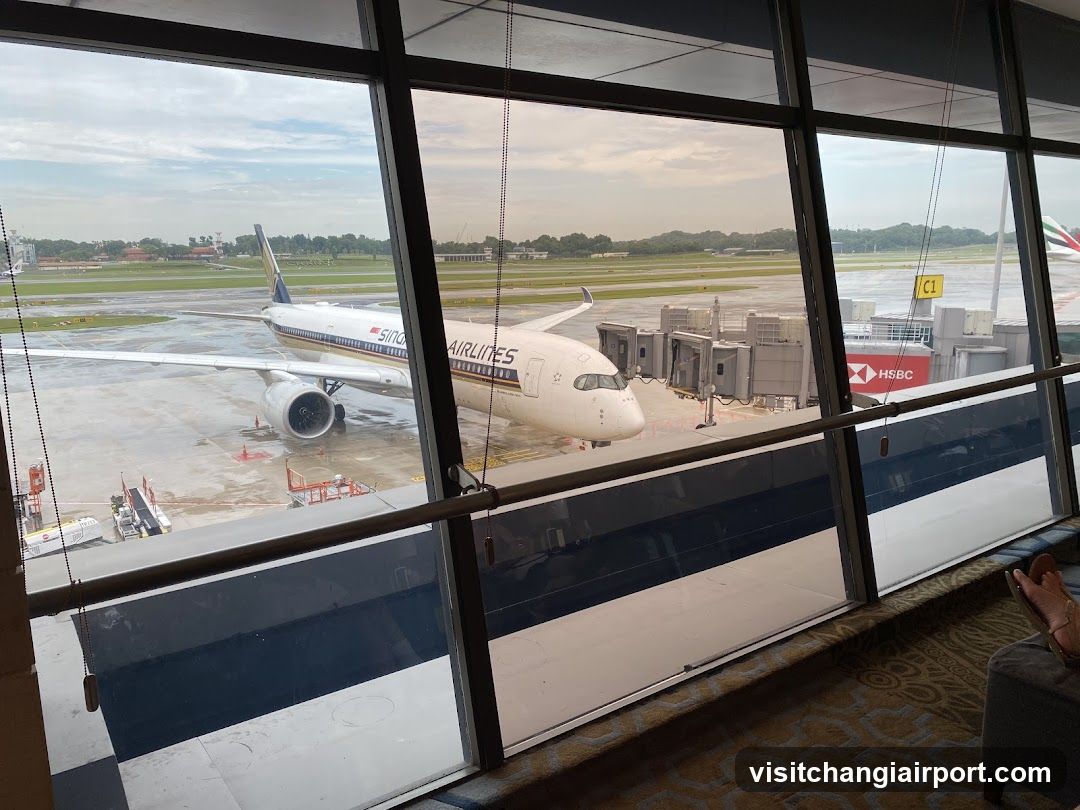 Airport Terminal View
