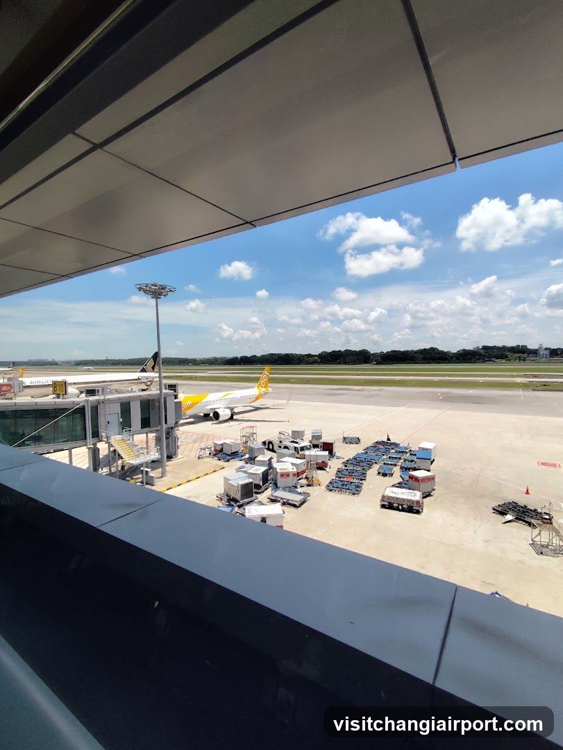 Airport Terminal View