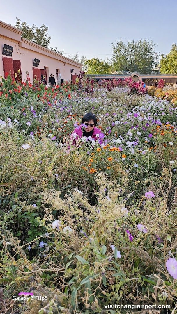 Flower Garden Scene