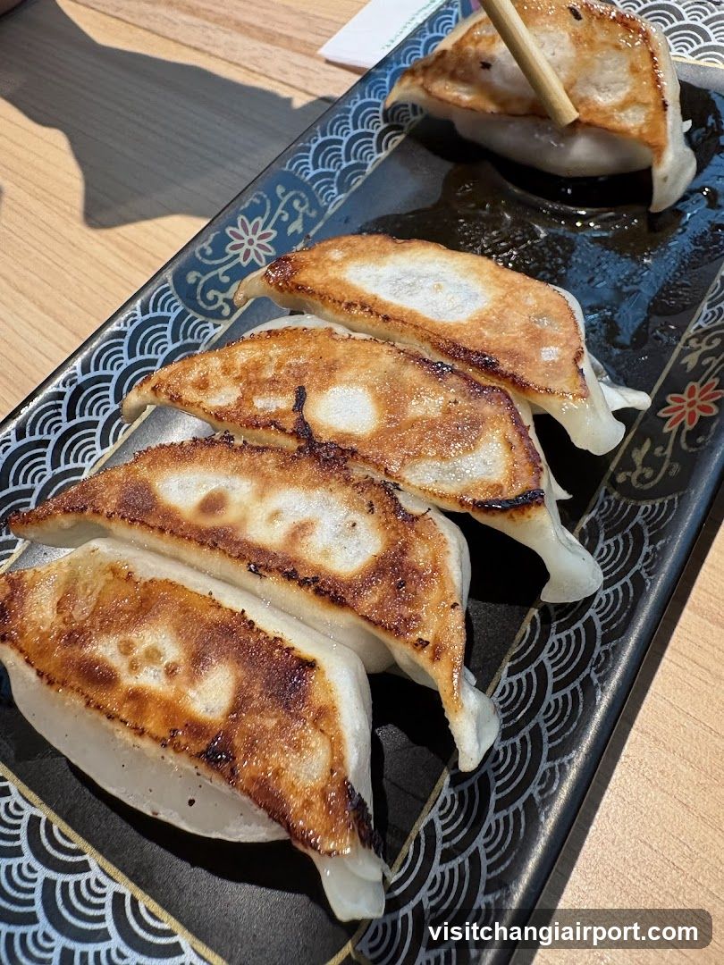 Gyoza on a decorative plate