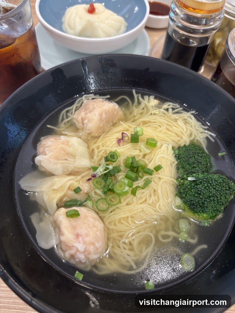 Wonton Noodle Soup Bowl