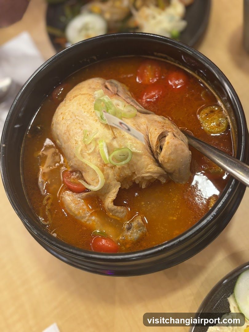 Korea Culture | T3 Changi Airport | Halal Certified
