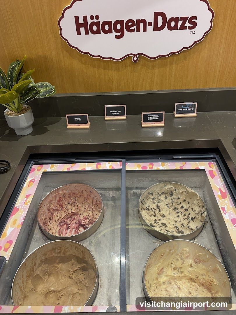 Häagen-Dazs Ice Cream Display