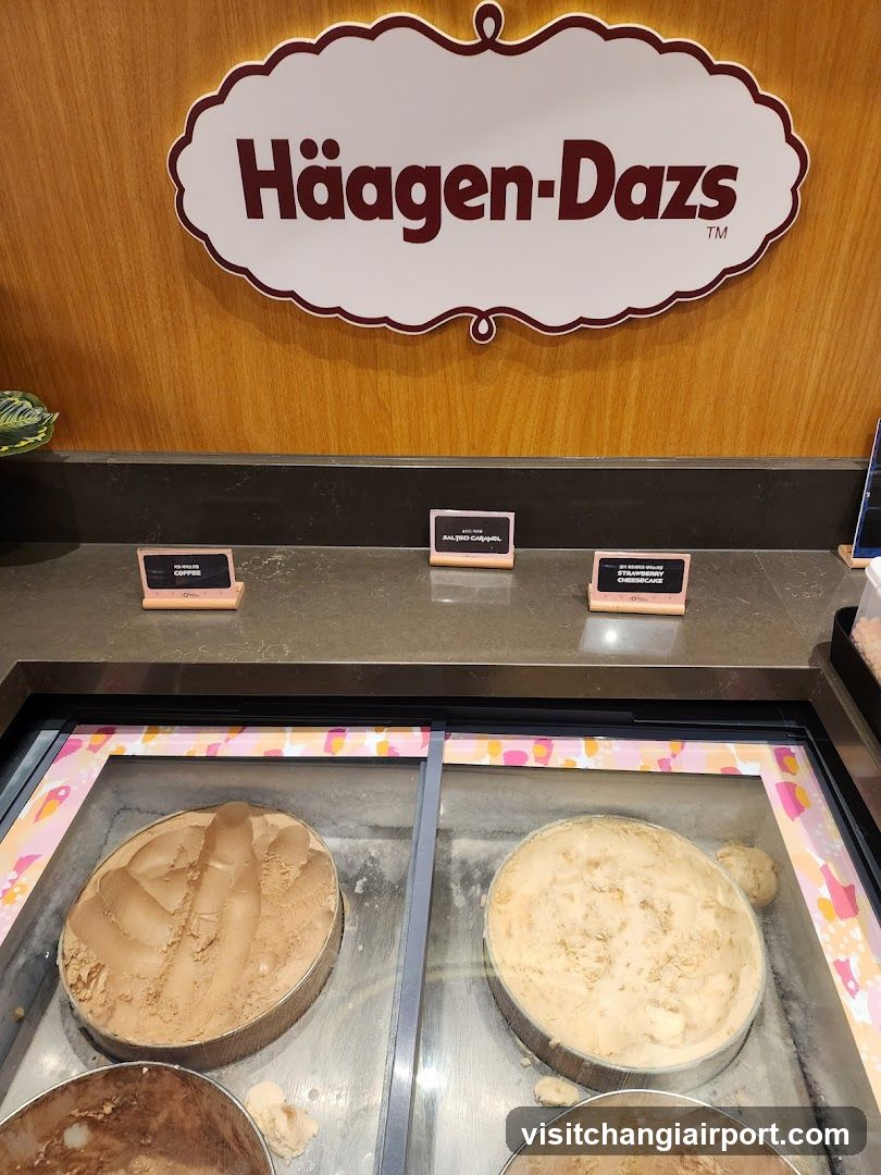 Häagen-Dazs Ice Cream Display