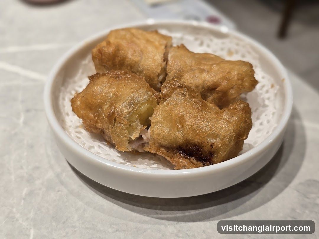 Fried Dumplings on a Plate