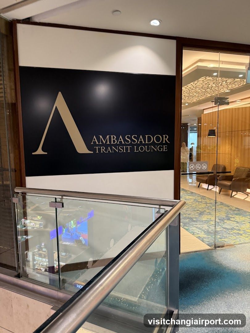 Ambassador Transit Lounge Interior View