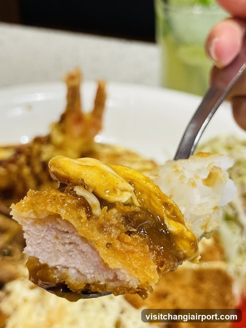Crispy Fried Chicken with Rice