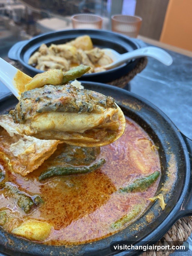 Curry Dishes in Clay Pots