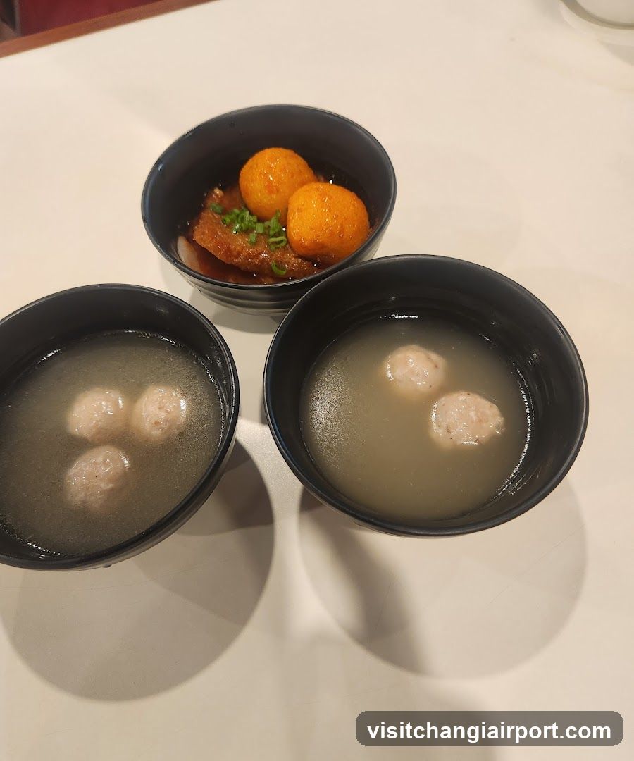 Three Bowls of Soup with Meatballs and Dumplings