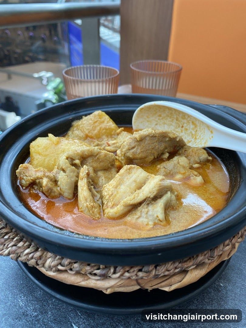 Soy Sauce Chicken with Tofu in Clay Pot