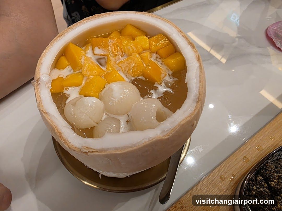 Mango Coconut Dessert in Shell