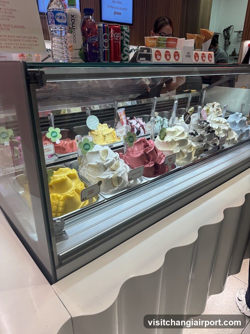 Ice cream display case