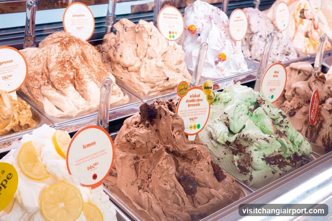Gelato Display Case