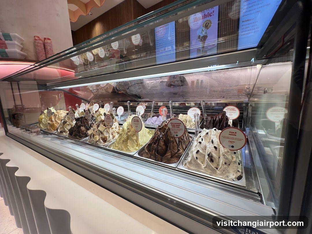 Gelato Display Case