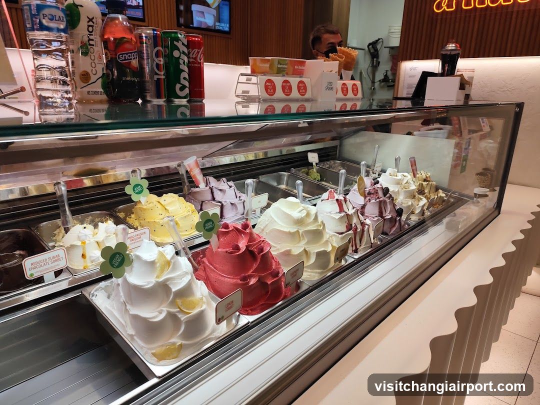 Gelato Display Case