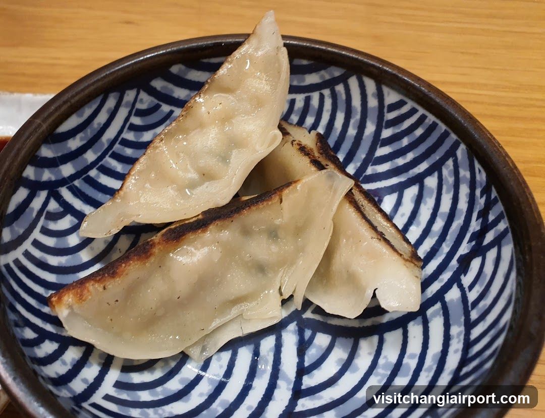 Gyoza on a patterned bowl