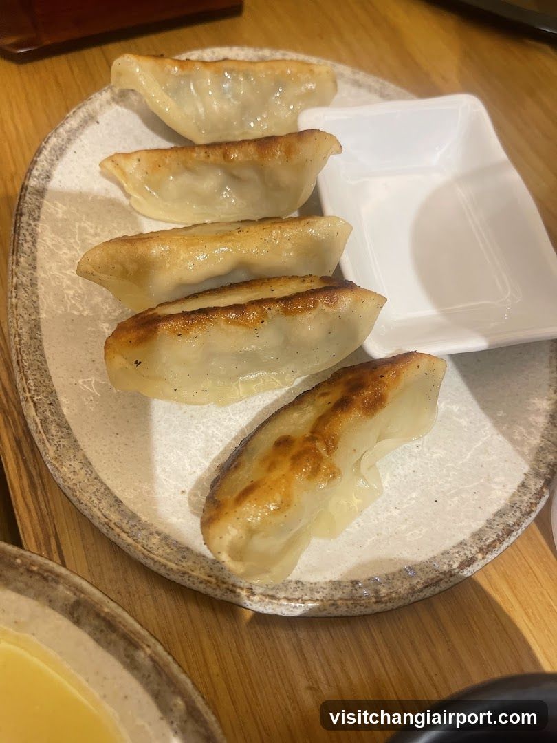 Gyoza on a plate