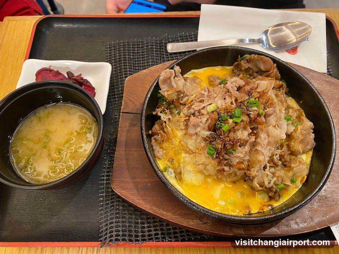 Japanese Meal with Egg and Meat