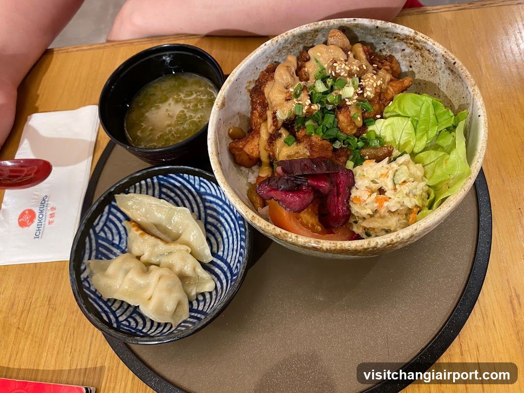 Japanese Meal with Dumplings and Rice Bowl