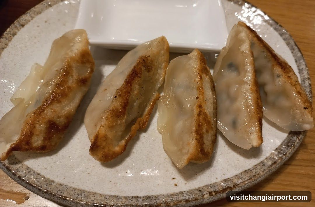 Gyoza on a plate