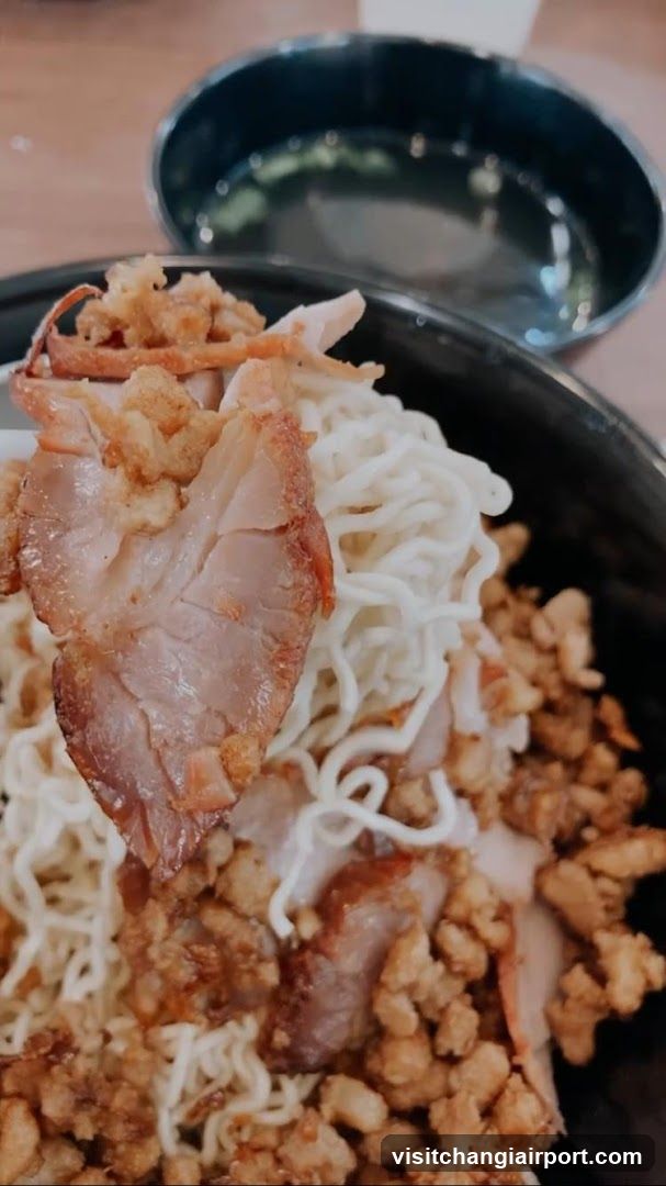 Noodle Bowl with Meat and Minced Pork