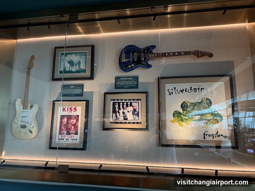 Music Memorabilia Display Case