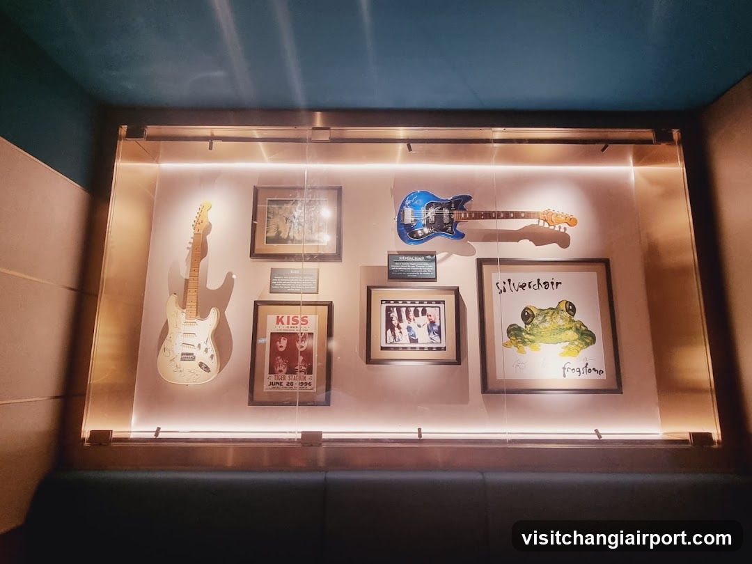 Music Memorabilia Display Case