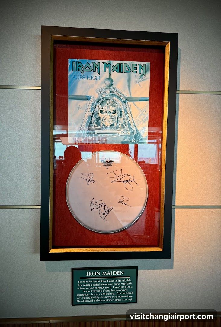 Iron Maiden Display Case